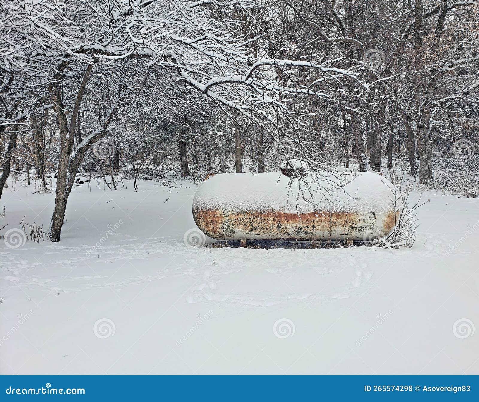 Propane Tank Full of Gas for the Winter Months. Stock Photo Image of