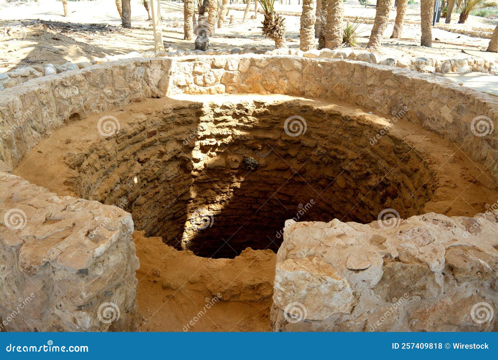 Prophet Moses Springs Water Wells And Palms In Sinai Peninsula Ras