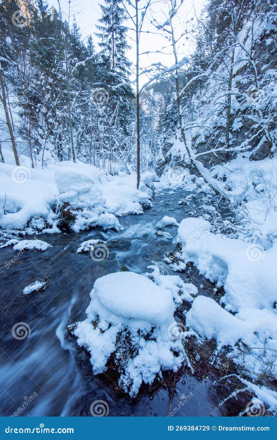 prosiecka dolina gorge during winter