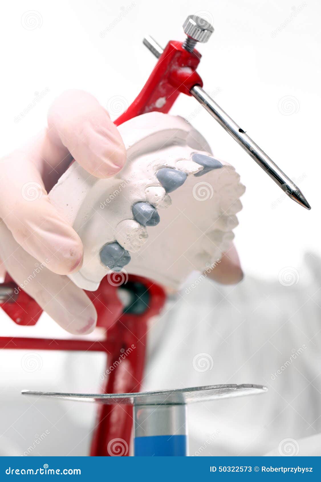 Prosthetics, Orthodontics, Dental Stock Image Image of cosmetic, gaps 50322573