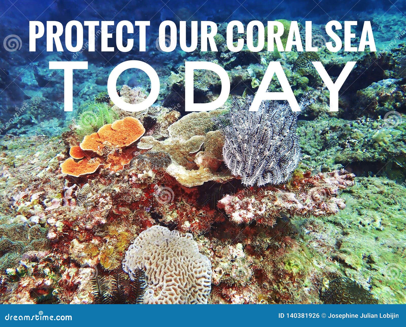 Protect Our Coral Reefs Today Design for Awareness the Importance of ...