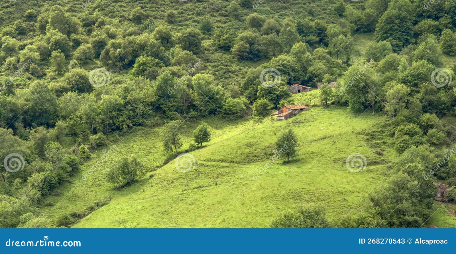 protected landscape of sierra de cuera, asturias, spain