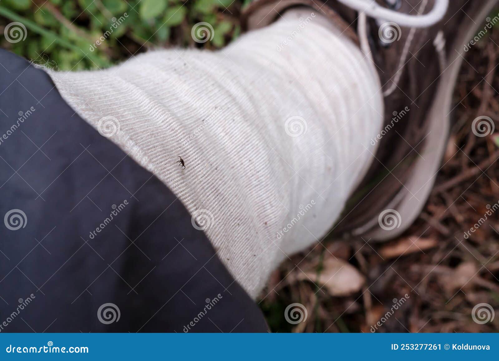 Protection Against Tick Bites, Trouser Leg Tucked into a Light Sock, in
