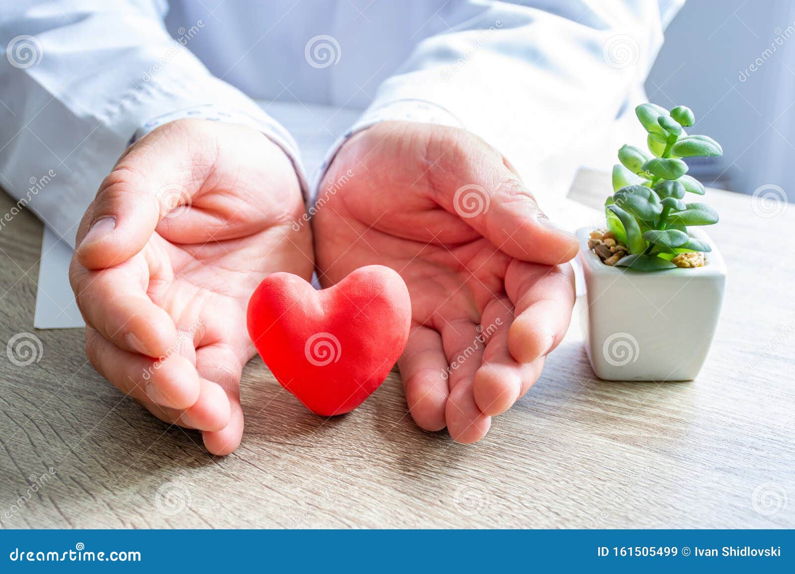 protection, treatment, prevention and patronage health of heart and cardiovascular system against diseases and pathologies concept