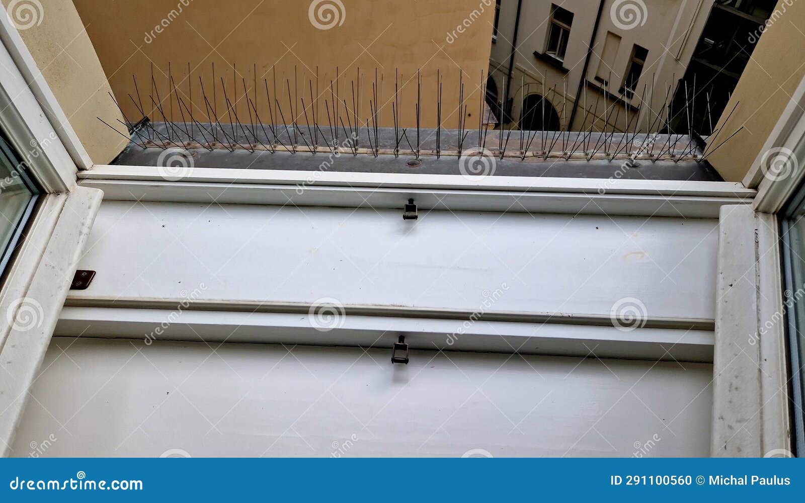 protection of urban buildings and wall through feces of pigeons.