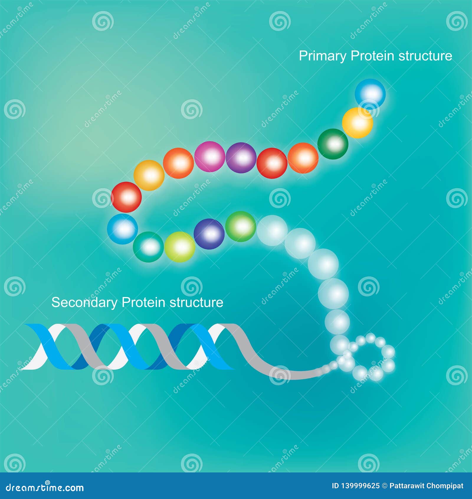 Protein Structure RoyaltyFree Cartoon 28753460