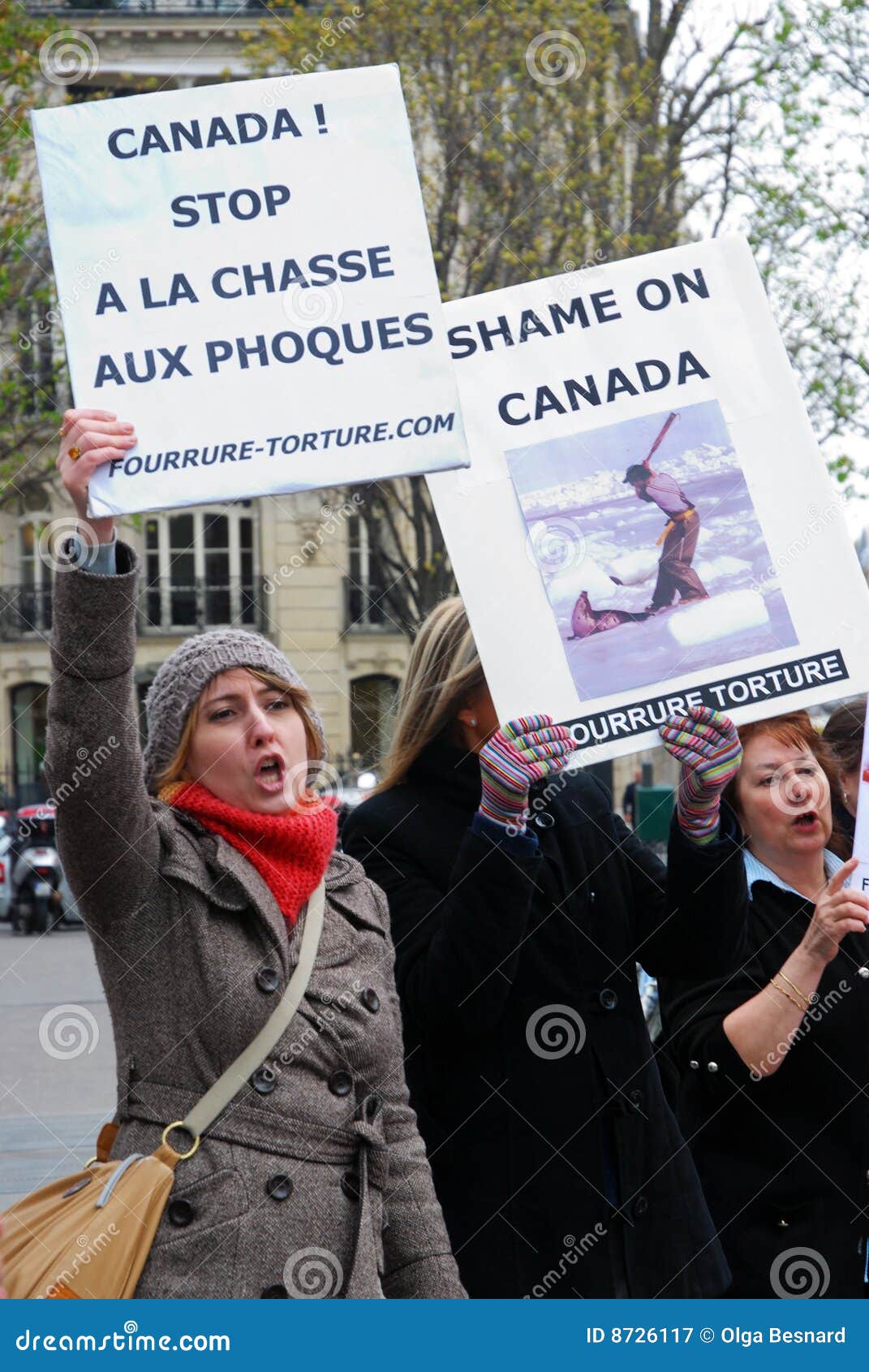 Protests Against Canadian Seal Hunt Editorial Photography Image of