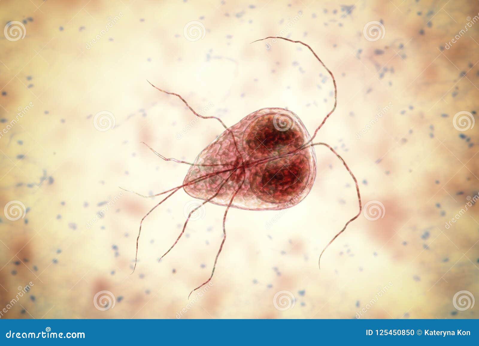 giardia lamblia parazit condiloame pe medicamentul mucos