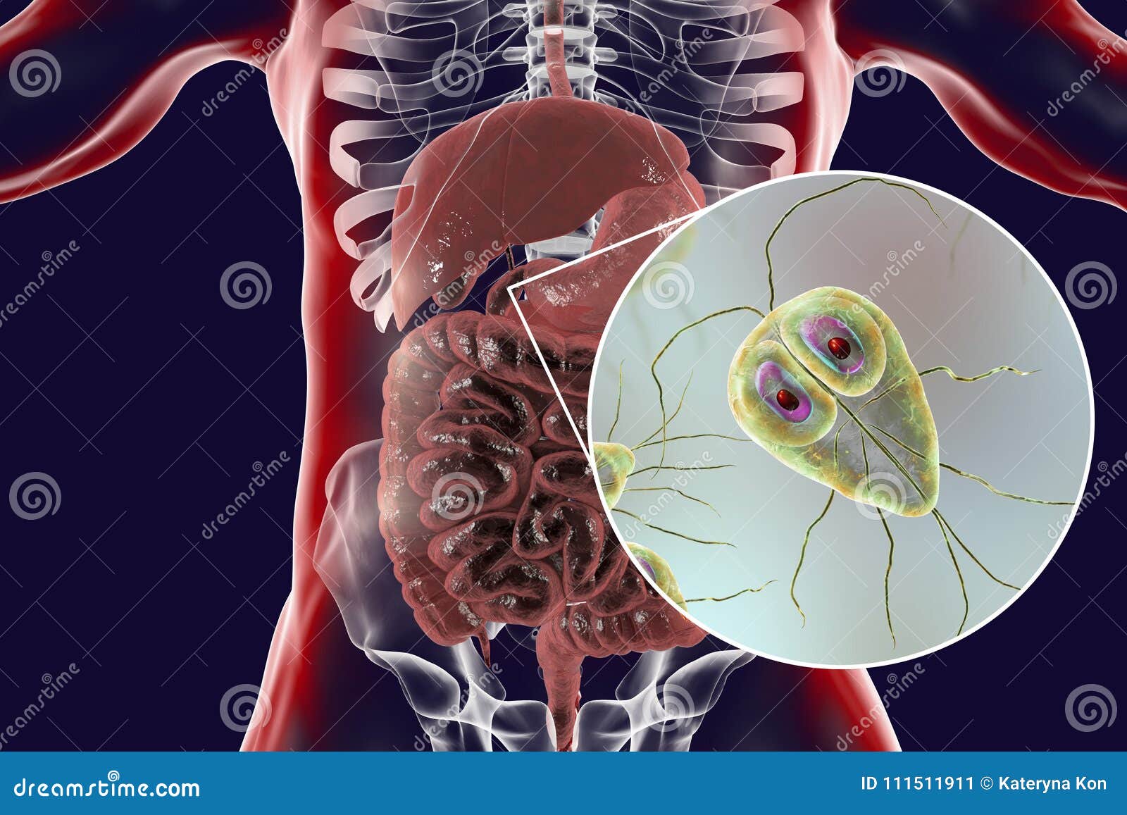 medicina giardia)