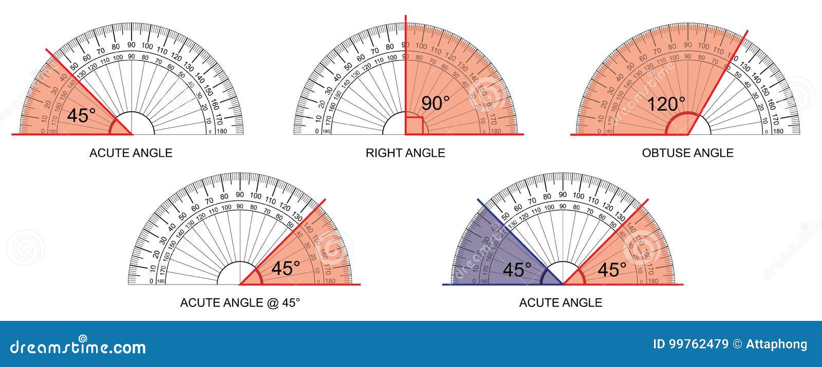 protractor protractor actual size graduation isolated on