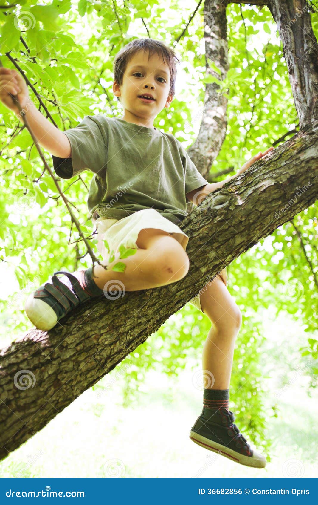 proud boy climbed in tree