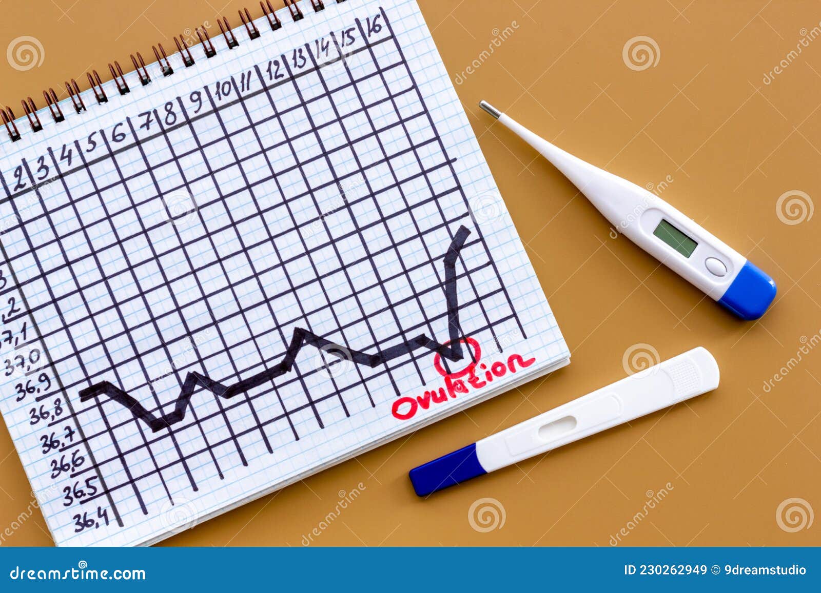 Prova Di Termometro E Di Ovulazione Sulla Scala Della Temperatura