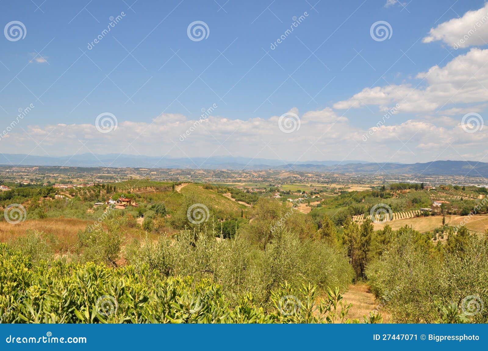 province of pisa italy countryside