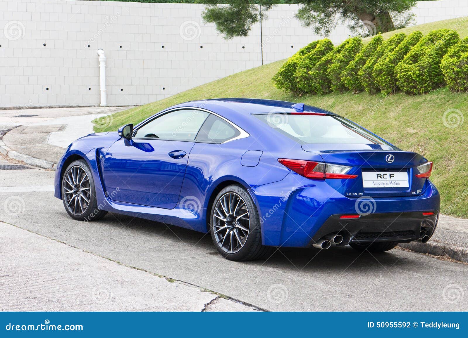 23831-ISPM (Lexus JLB Remedy), image size:1600x1157