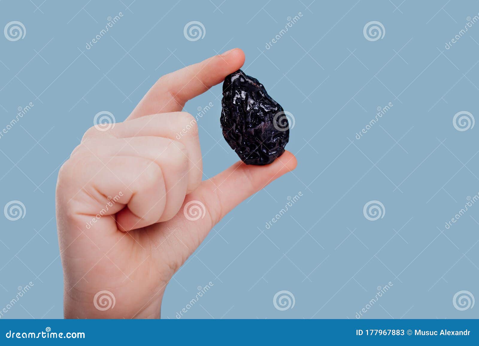 download prune fruit for free download prune fruit for free