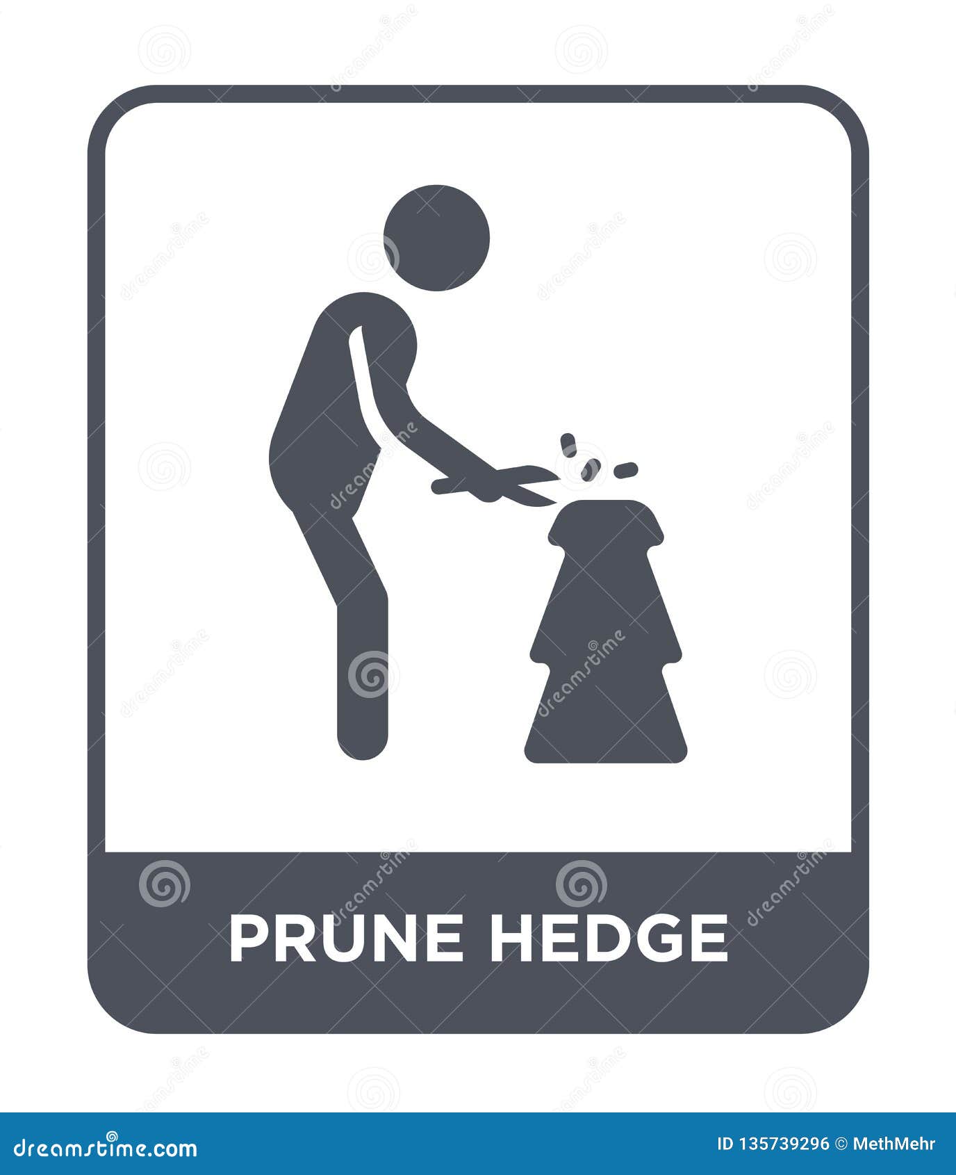 prune hedge icon in trendy  style. prune hedge icon  on white background. prune hedge  icon simple and modern