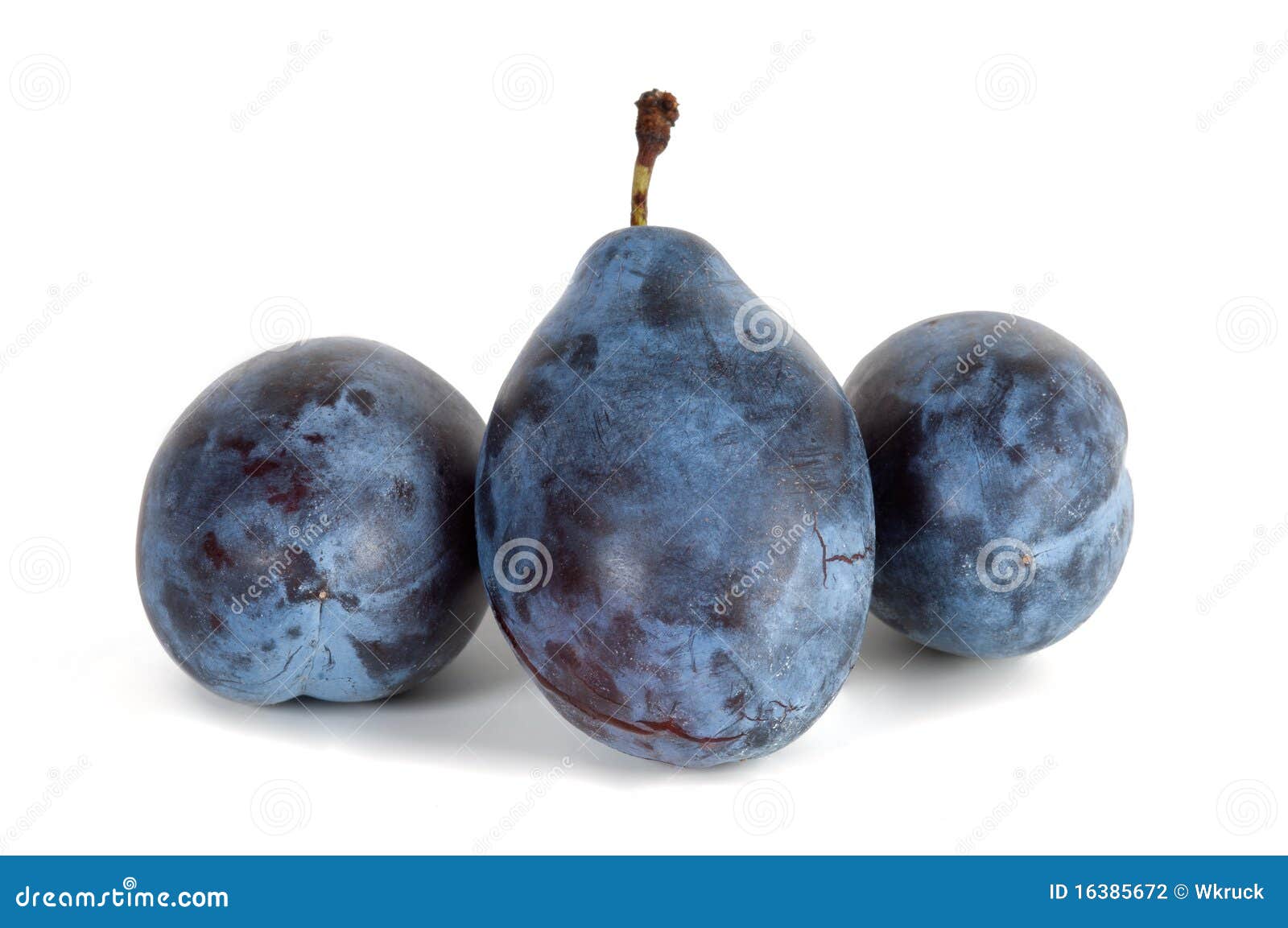 Prune plum stock photo. Image of prune, damask, isolated 16385672