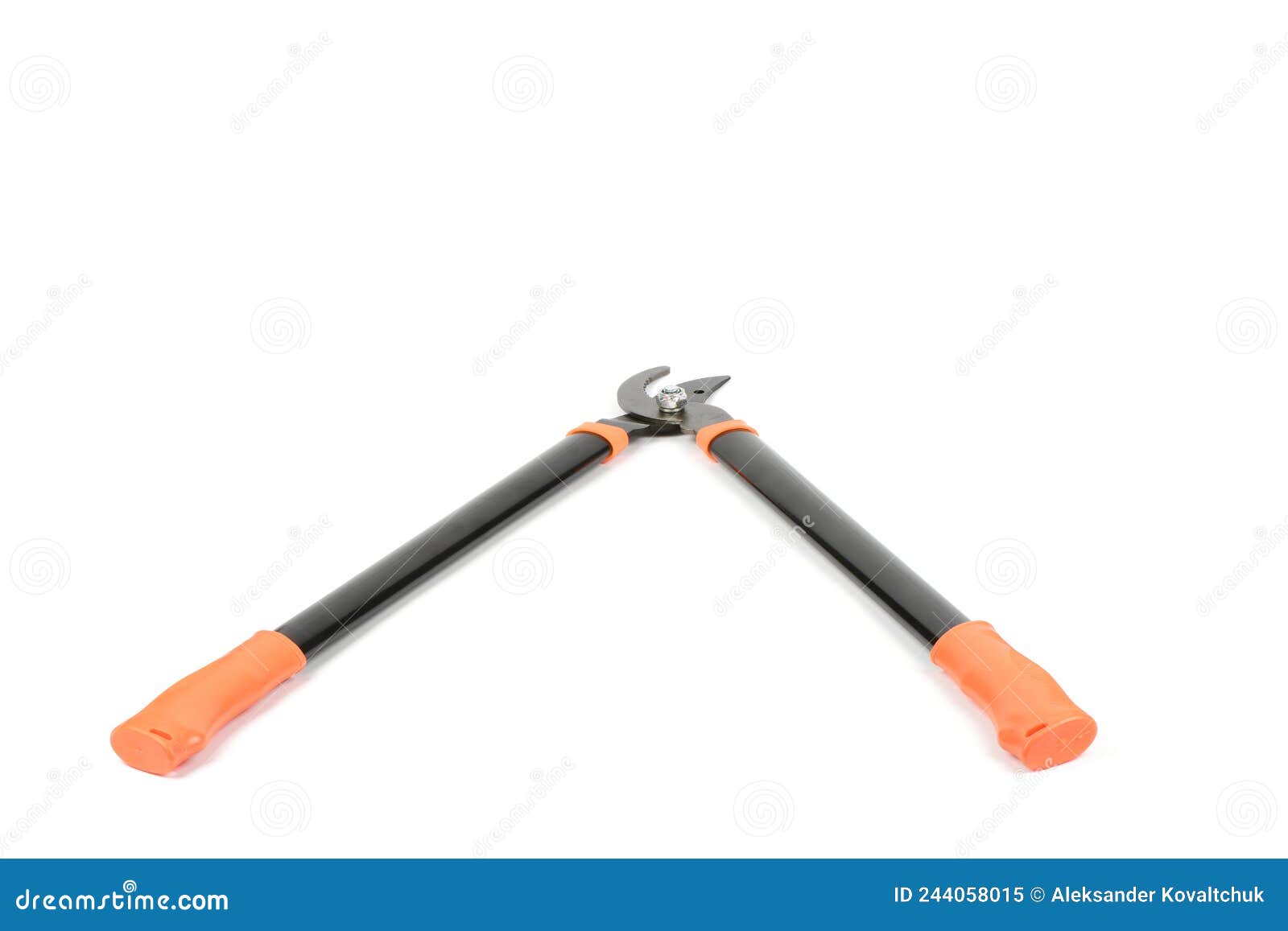 Pruner for Pruning Large Branches, Twigs and Knots. Garden Tools Stock