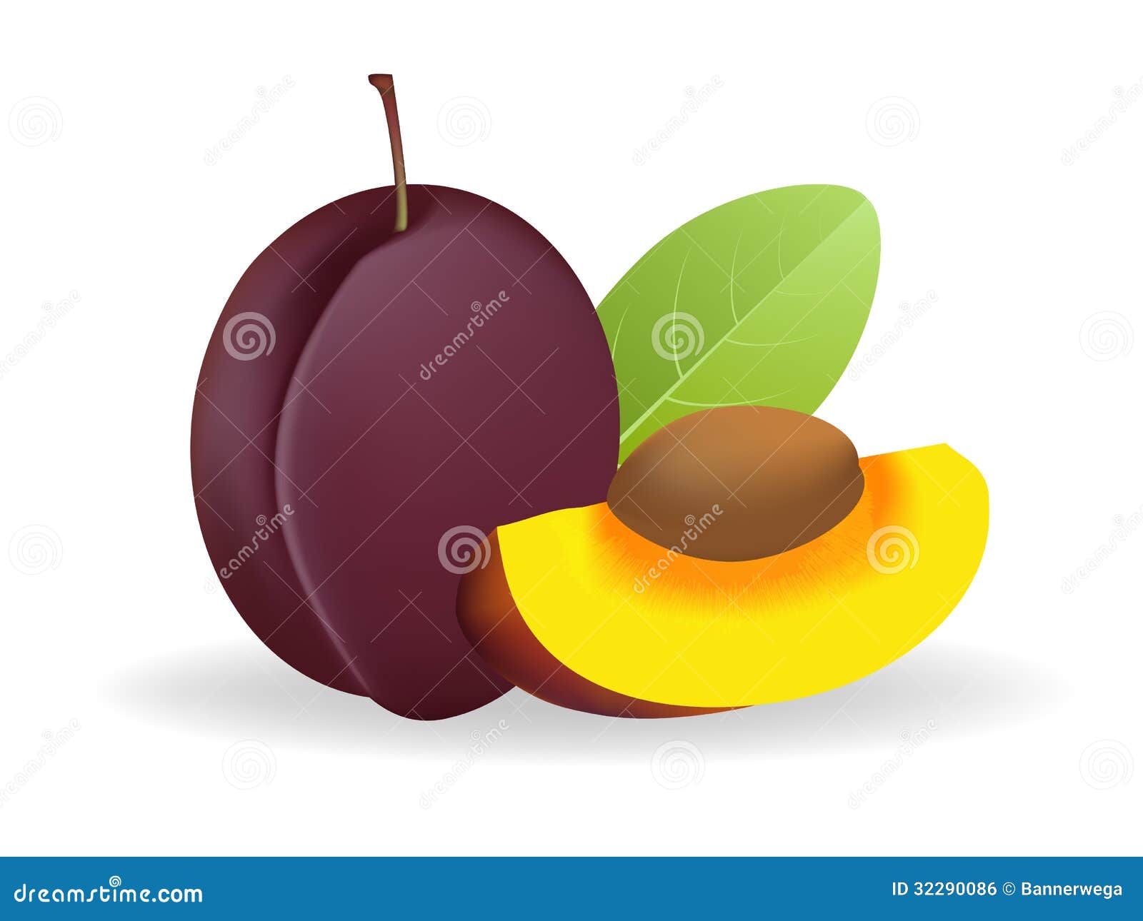 Prunes stock vector. Illustration of fresh, autumn, freshness 32290086