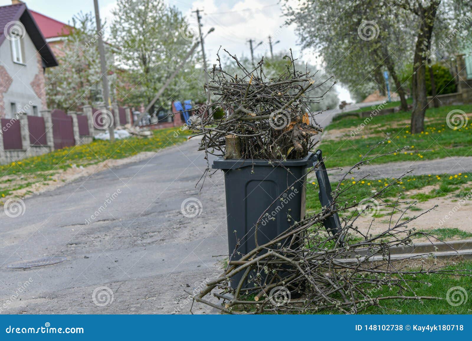 Pruning Trees. Cutting Some Branches from the Tree To the Organic