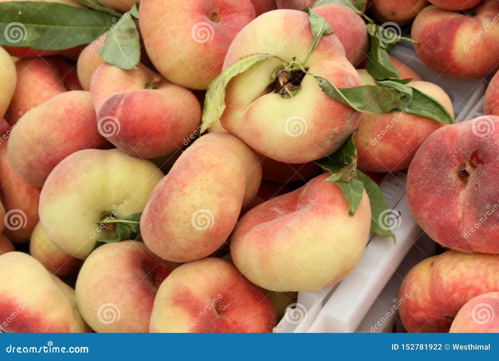 Prunus Persica Donut Doughnut Or Saturn Peach Formerly P Persica Var Platycarpa Stock Photo Image Of Fruit Varieties 152781922