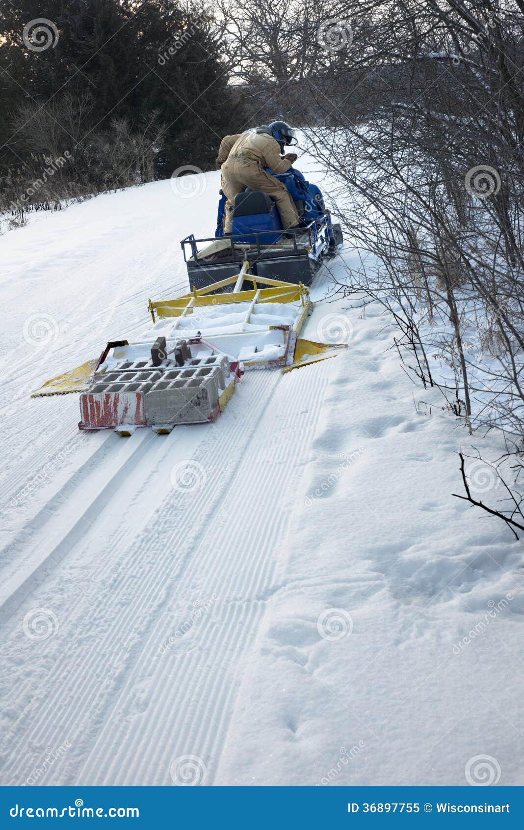 Przygotowywać Przecinającego kraju narciarstwa lub narty ślad. Pracownik jest jadący snowmobile i jadący gdy pracuje przygotowywać zima przecinającego kraju śnieżnego narciarskiego ślad. Narciarstwo jest popularnym plenerowym aktywnością podczas zimy.