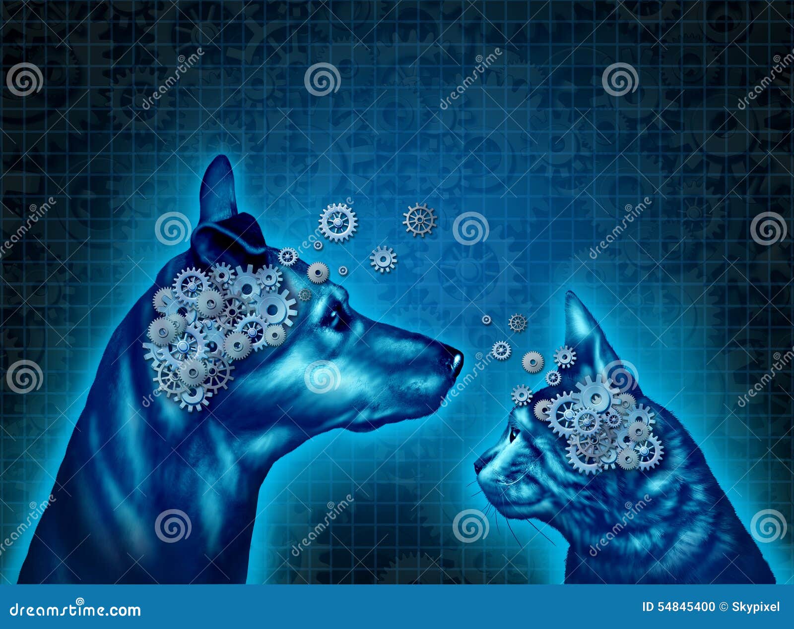 Psicología Del Animal Doméstico Stock de ilustración - Ilustración de  veterinario, escuela: 54845400