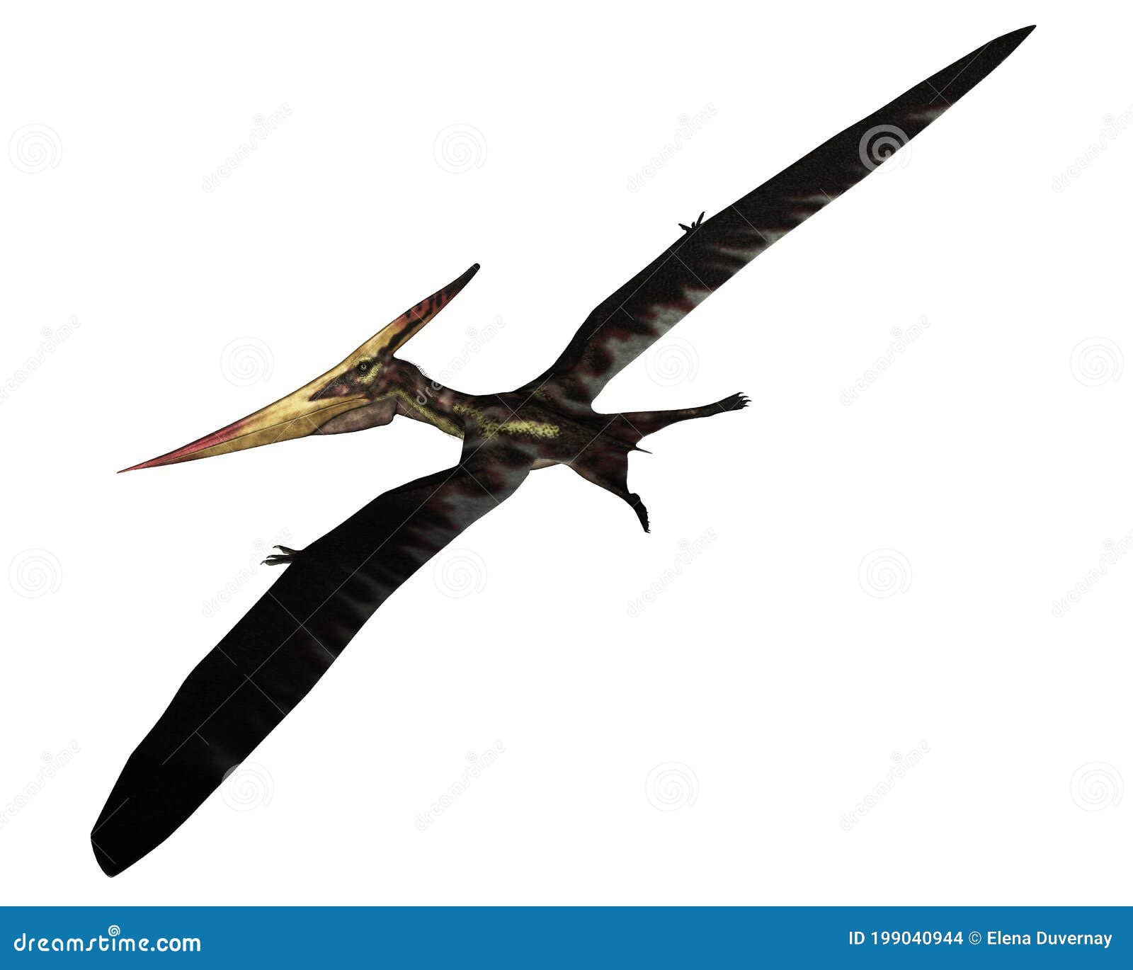 Mundo Pré-Histórico: Pteranodonte