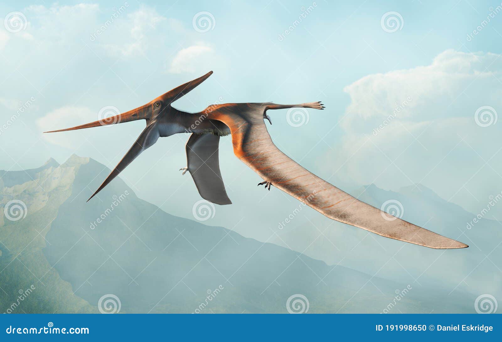 Pterodactyl or pteranodon. Flying prehistoric reptile vector illustration.  Stock Vector