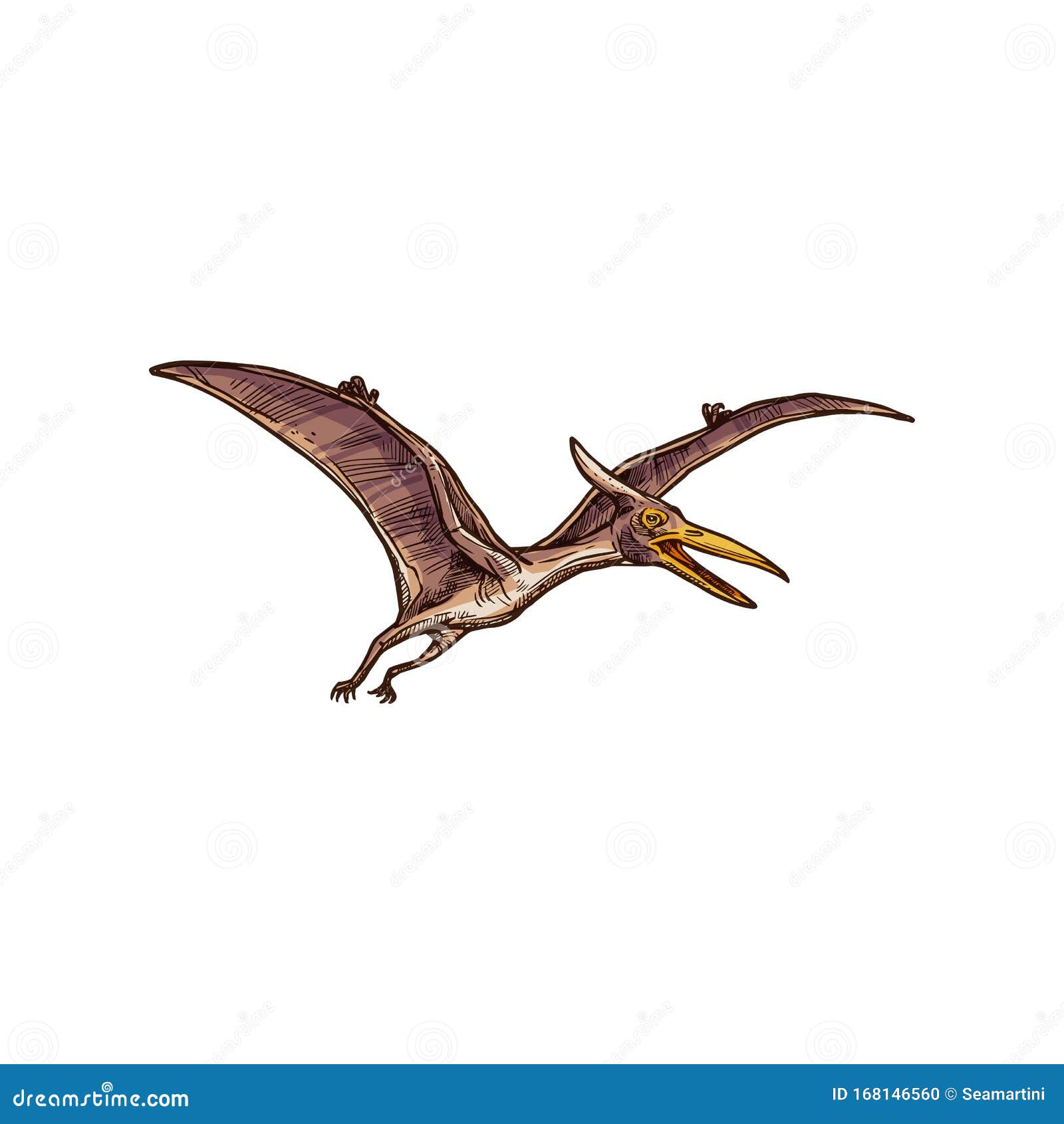 Pteranodon Isolated Flying Pterodactyl Sketch Stock Vector - Illustration  of vector, extinct: 168146560