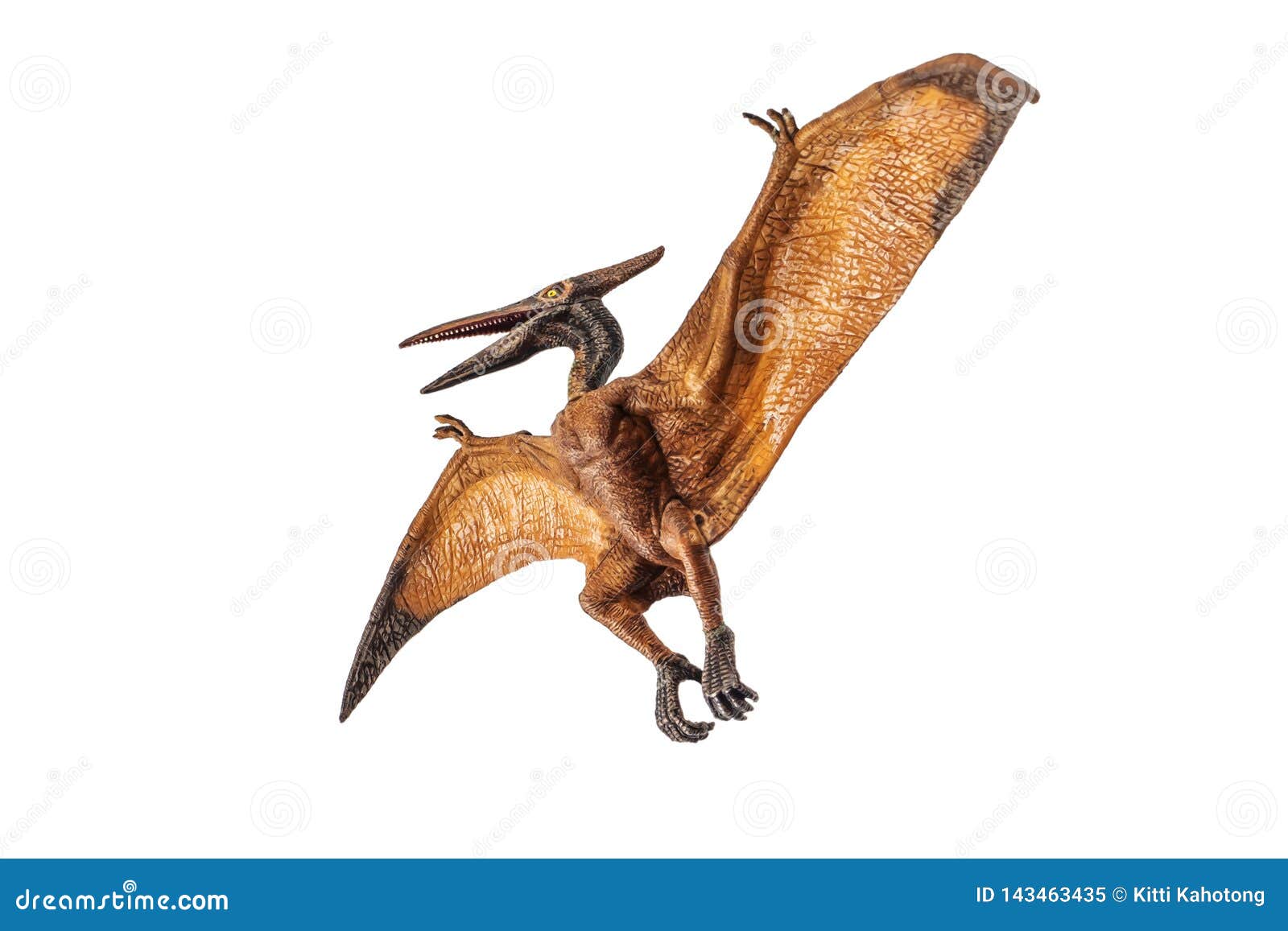 Pterodactyl Or Pteranodon Dinosaur Isolated Over White Stock Photo
