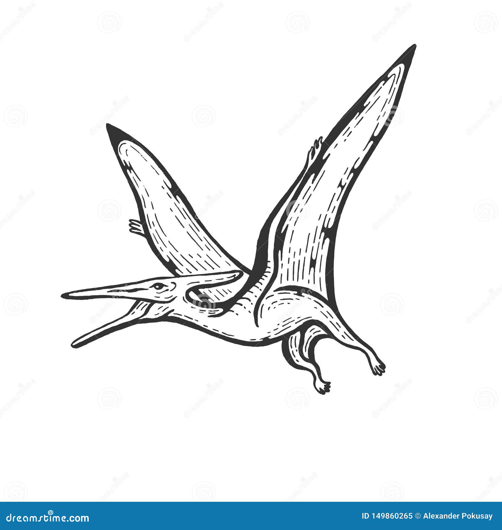 How to draw a PTERODACTYL pterosaur 