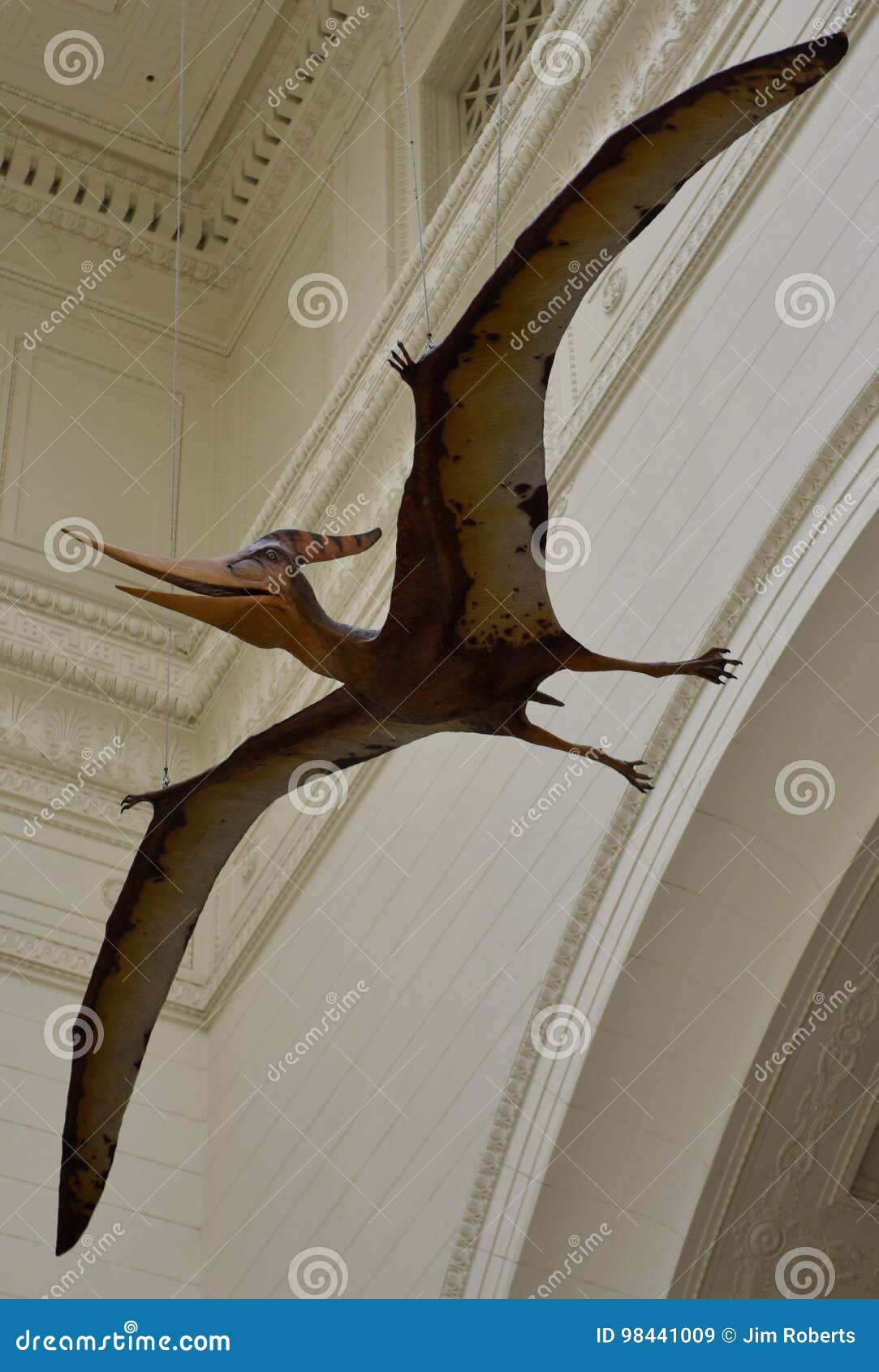 Pterodactyl Images – Browse 15,390 Stock Photos, Vectors, and Video