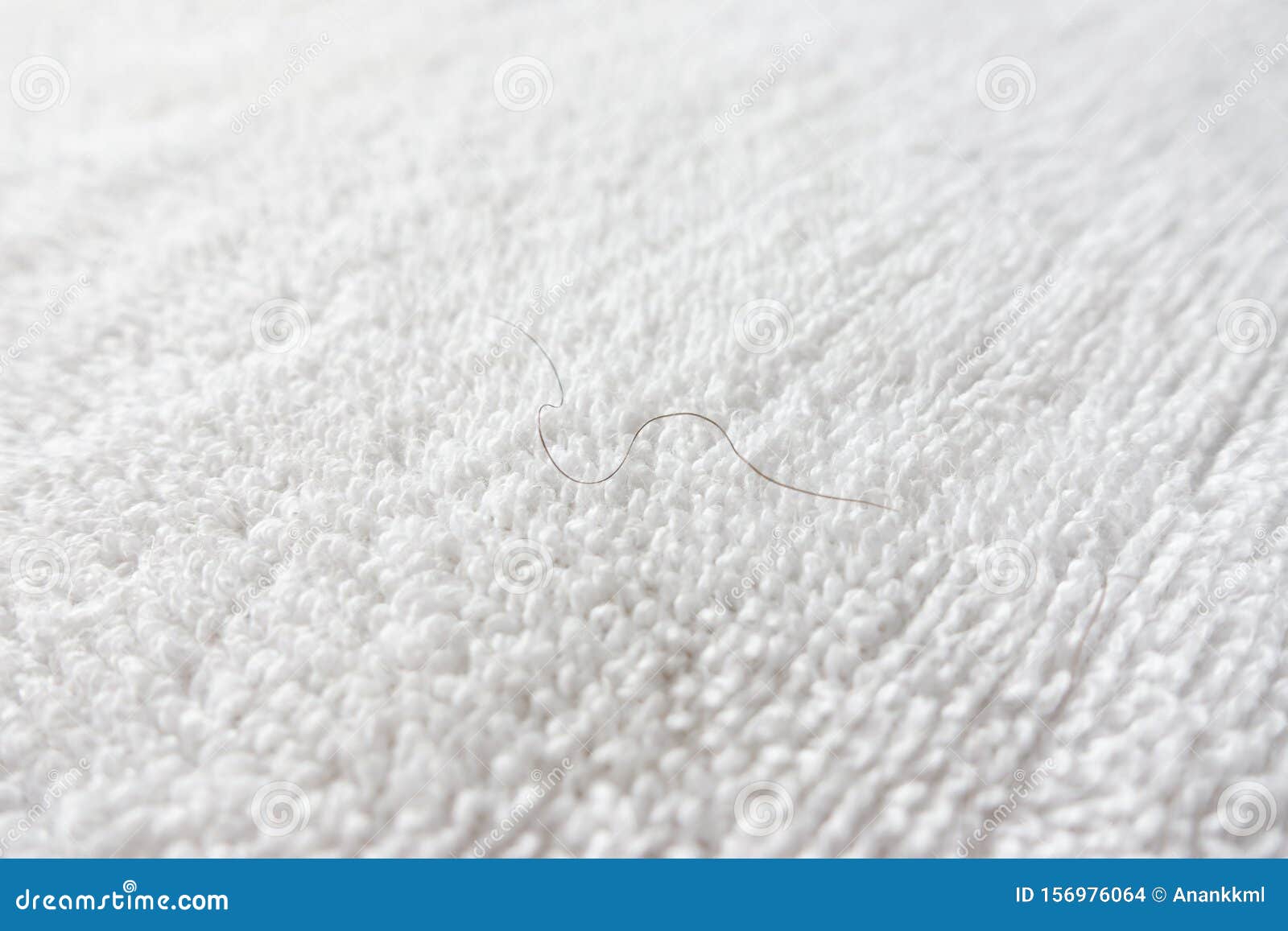 Pubic hair on white towel stock photo. Image of floor - 156976064