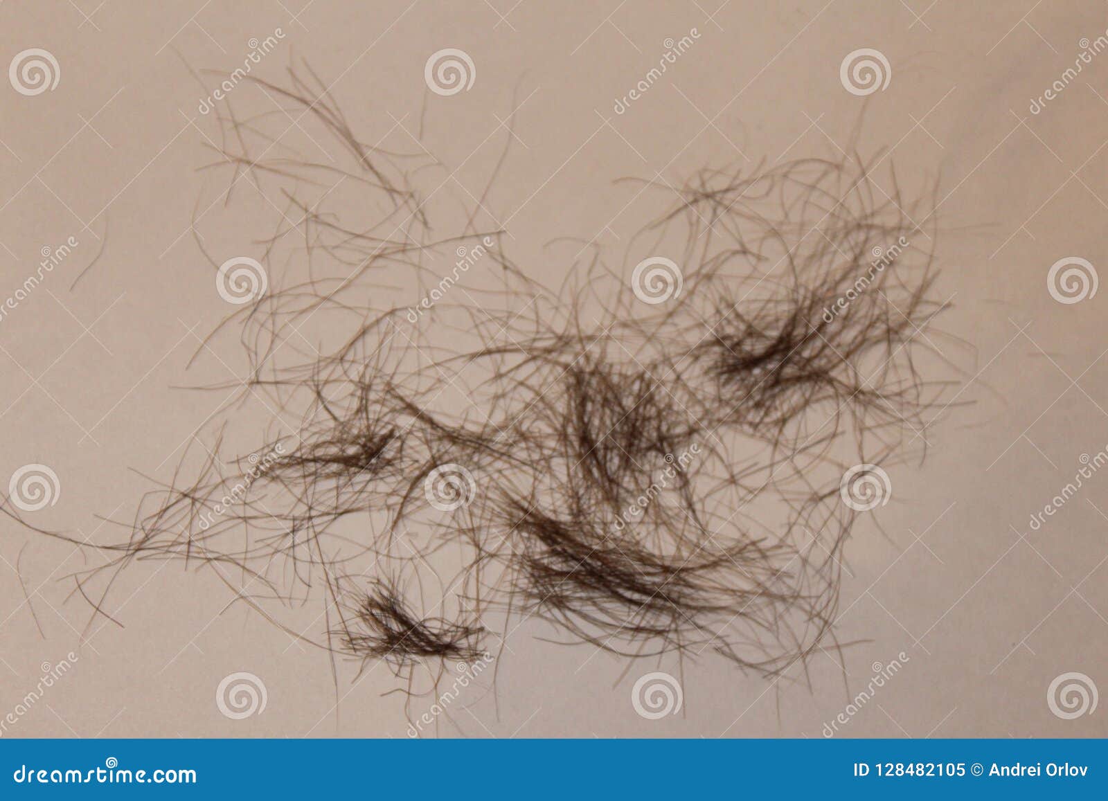 Pubic Hair from the Groin on a White Sheet Stock Image - Image of white,  sheet: 128482105