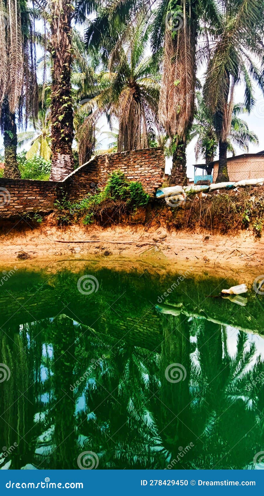 Public Bath Shadow, Public Bathing Pool,the Clear Water of Public Baths