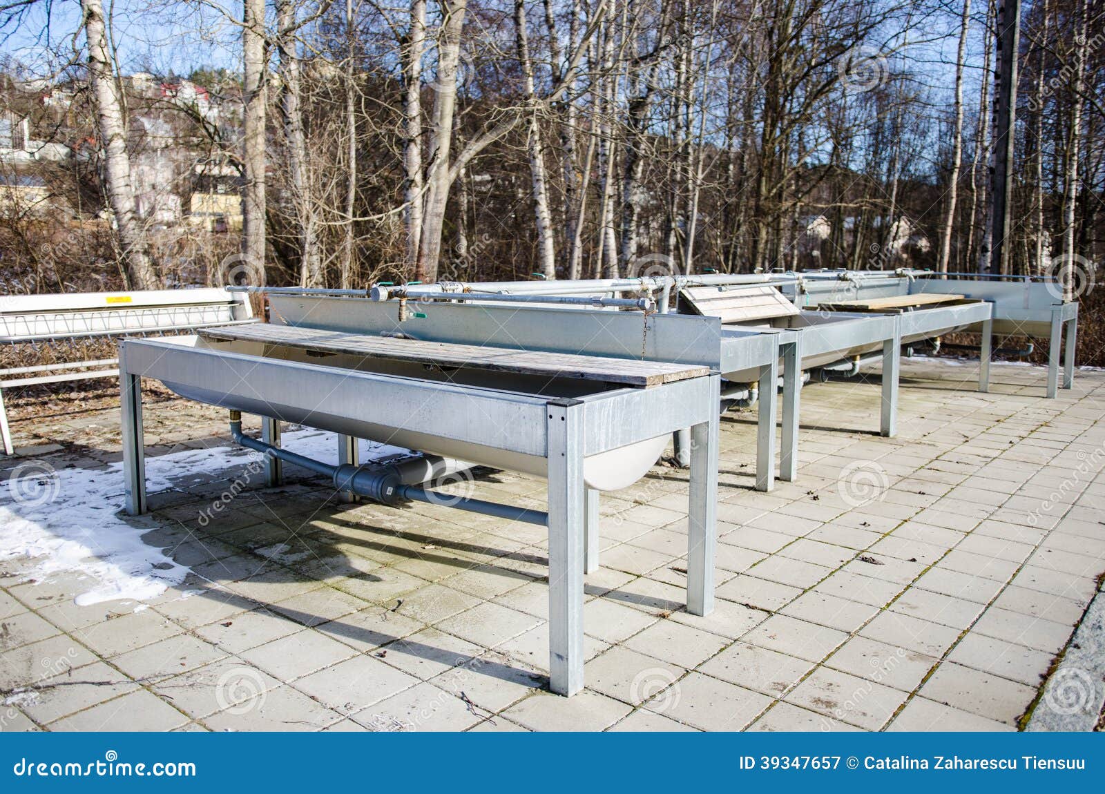 Public Carpet Cleaning Place Stock Image Image of sinks, selfservice 39347657