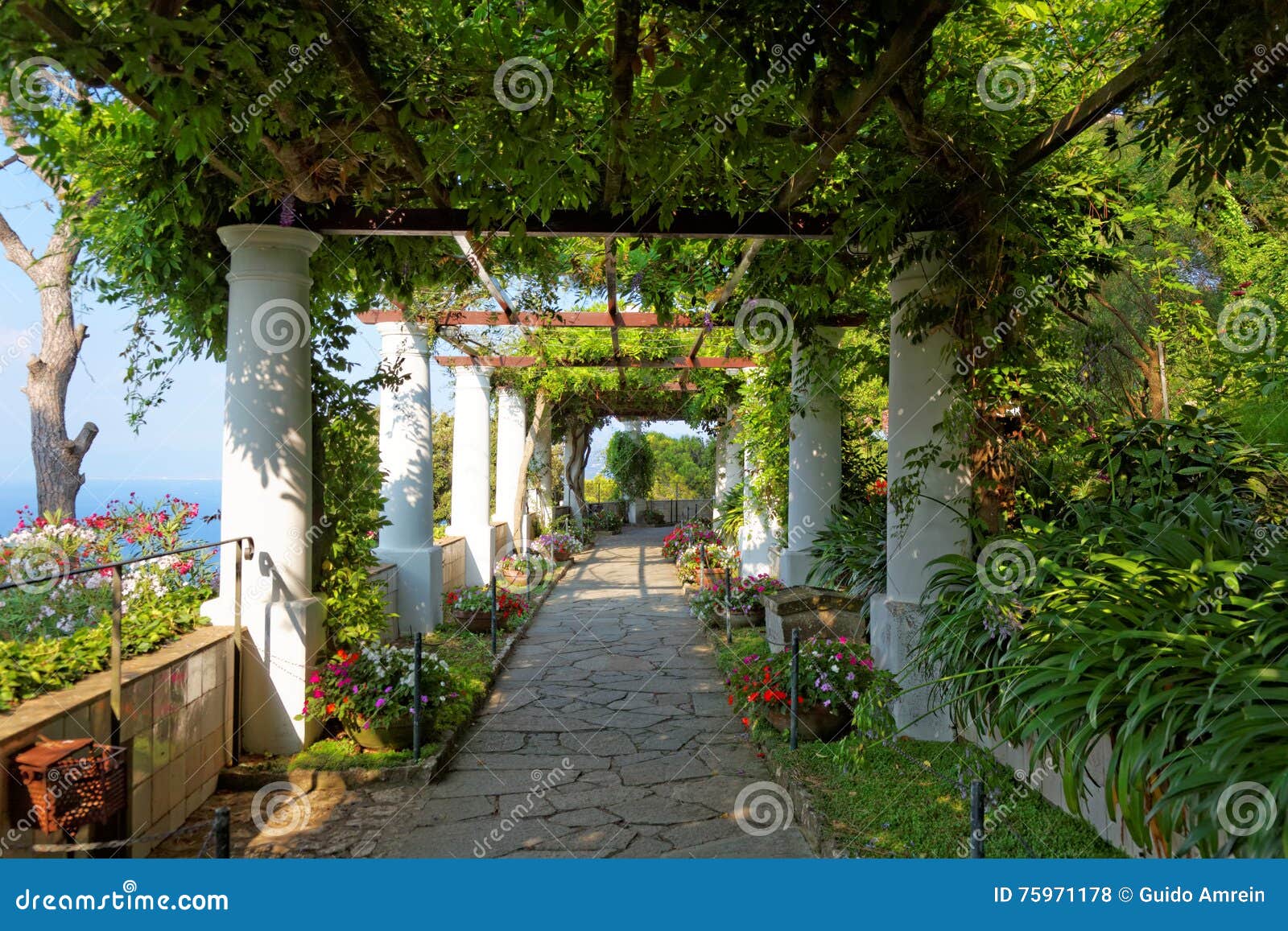 the public gardens of the villa san michele, capri island, mediterranean sea, italy