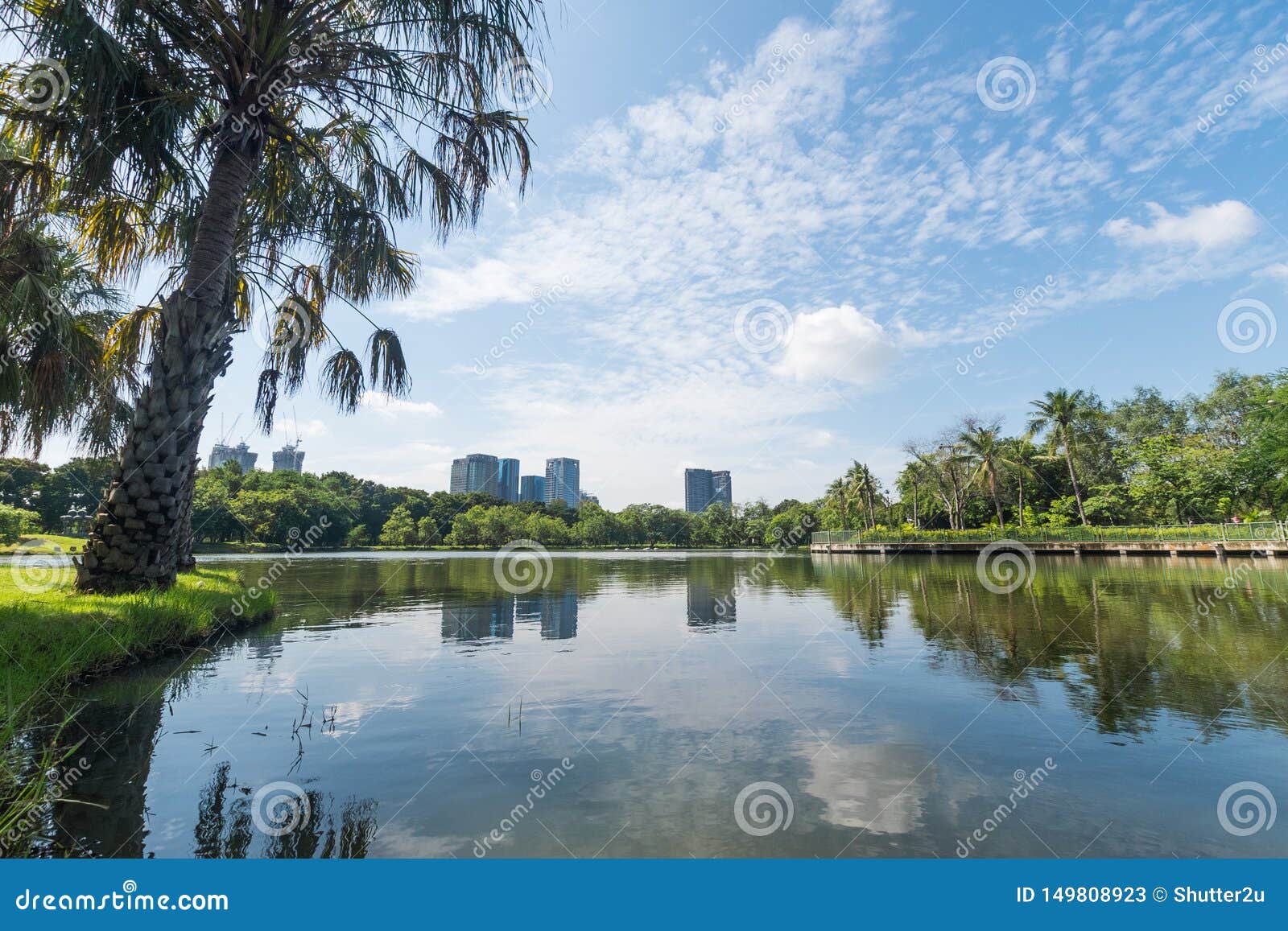 Park in the Big City. Place and Outdoors Concept. Nature and Landscape Bangkok Thailand Stock Image - of pond, nature: 149808923