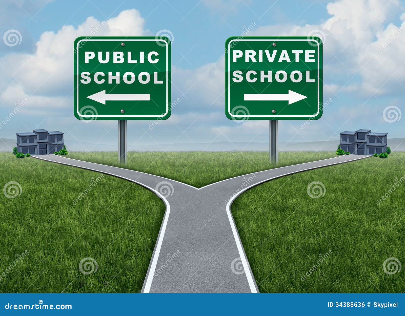 public and private school choice