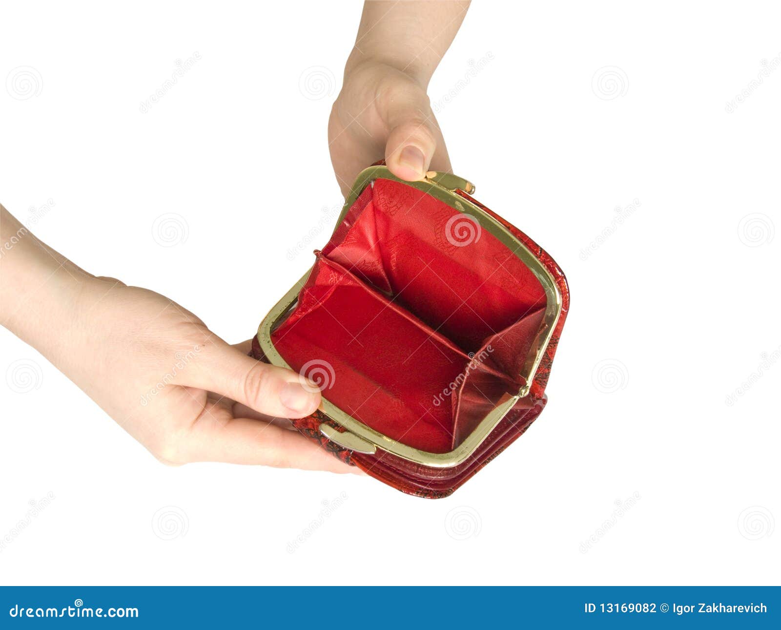 Public purse stock photo. Image of leather, paper, green 13169082