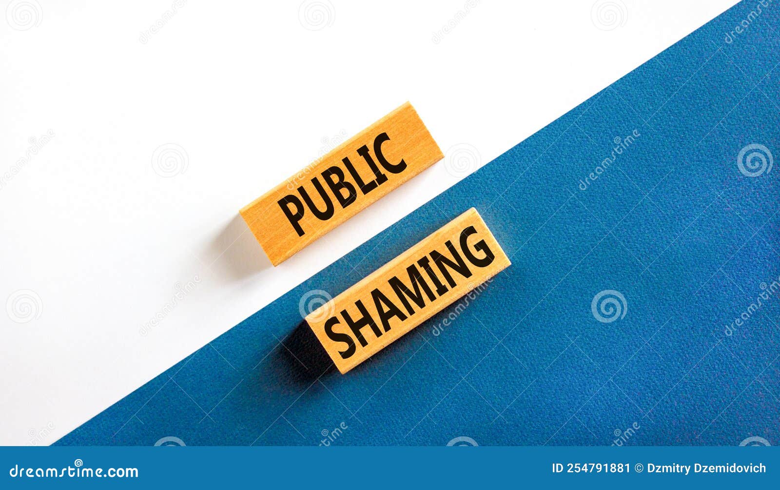 Shame Or Public Disgrace Crossword