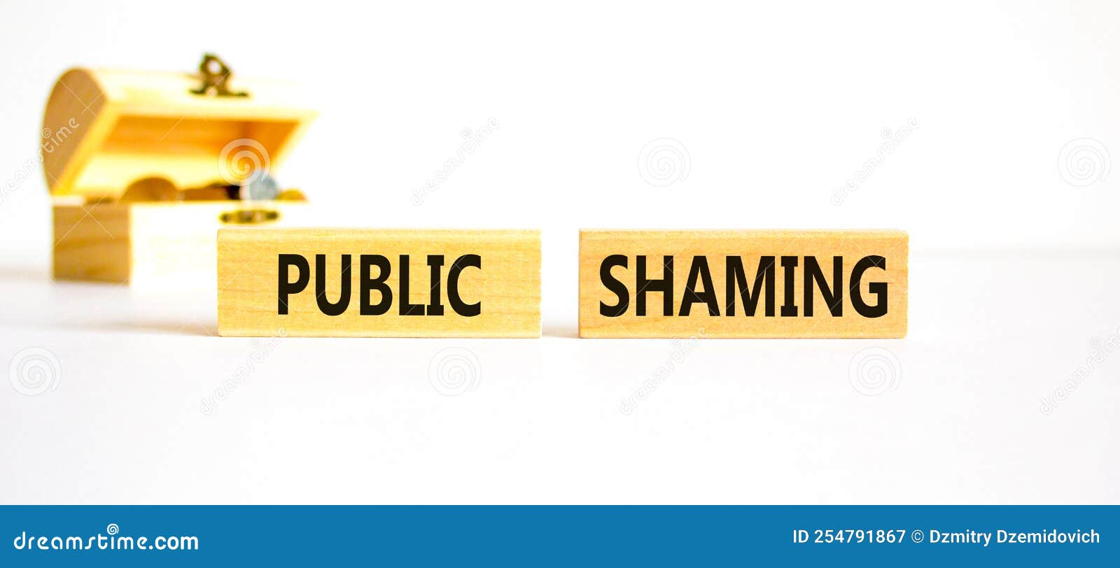 Shame Or Public Disgrace Crossword