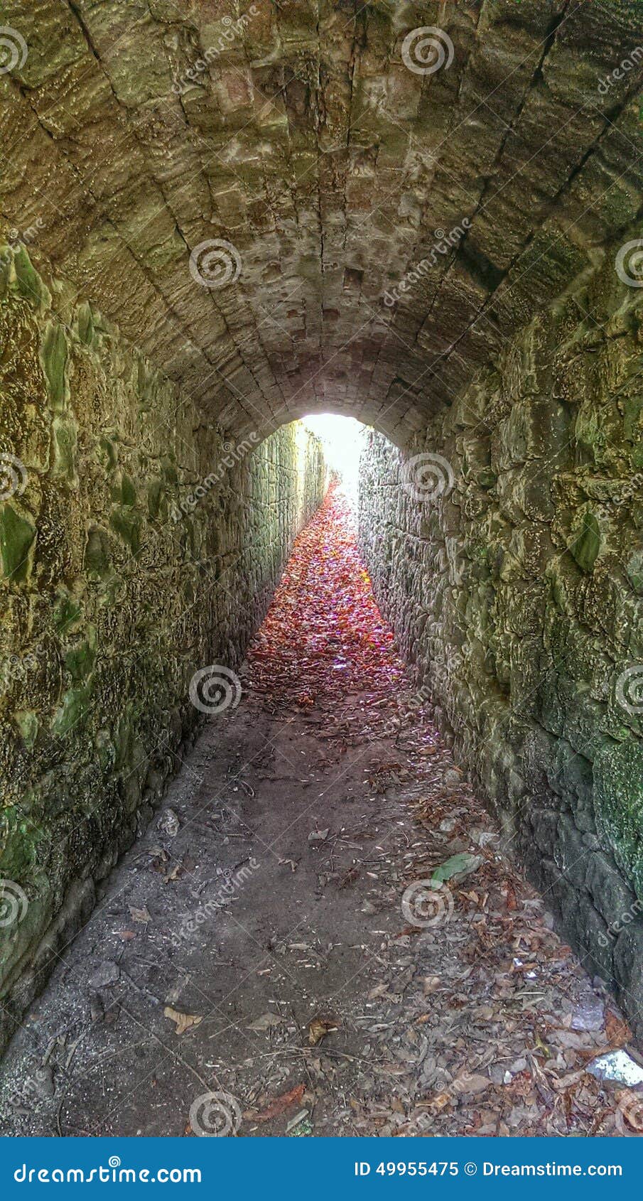 Public Tunnels stock image. Image of isle, tunnels, public 49955475