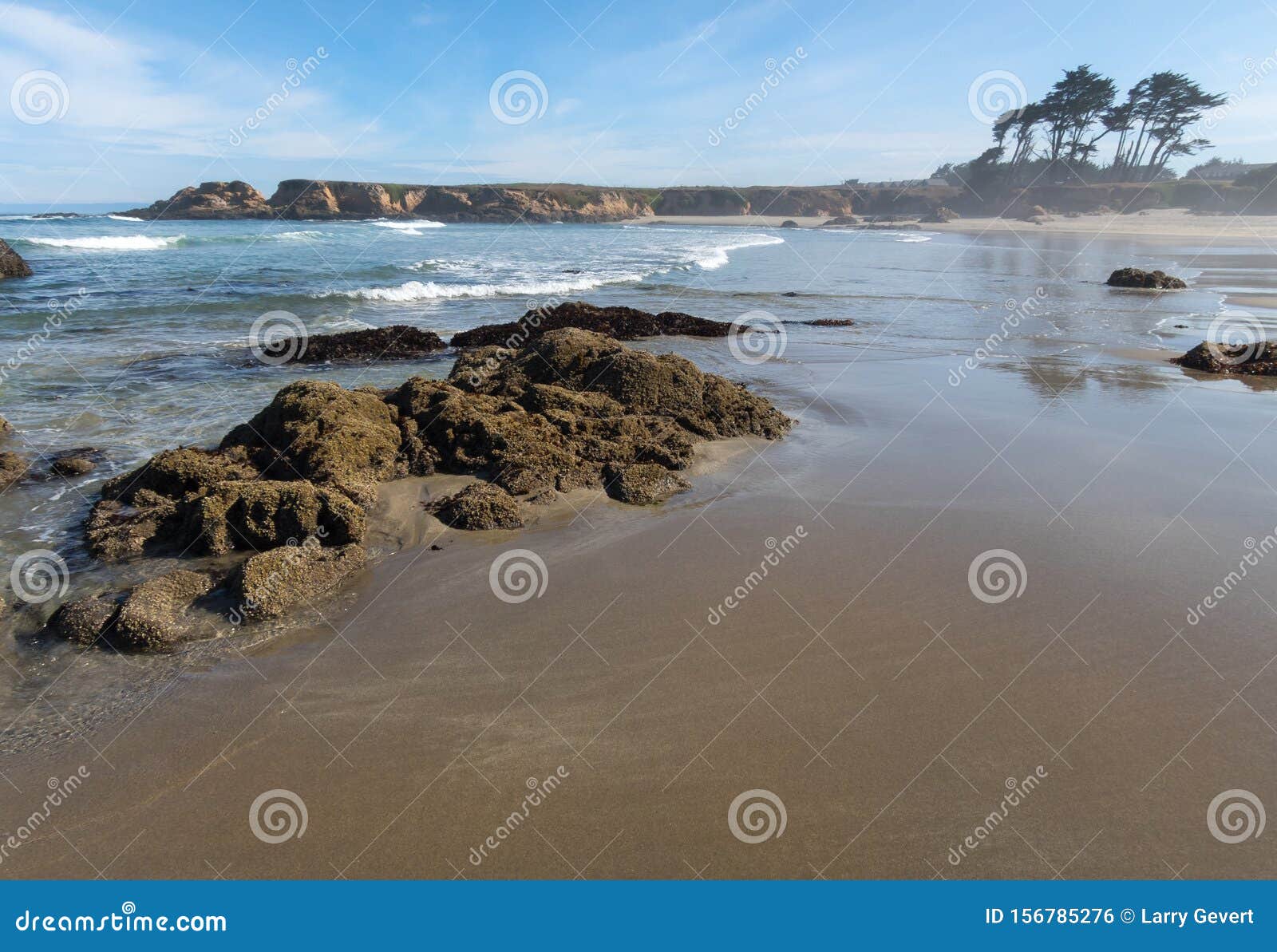 Pudding Creek Beach at Low Tide Stock Photo Image of harbor, iceplant