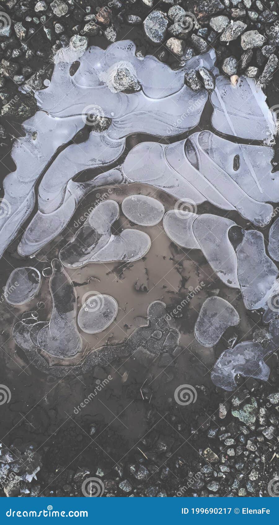 Puddle Covered with Ice. Frozen Water. Layers of Water Stock Image ...