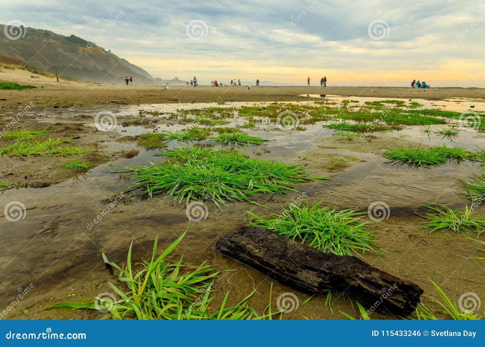 puddles on the beach on a foggy afternoon in stinson beach calif