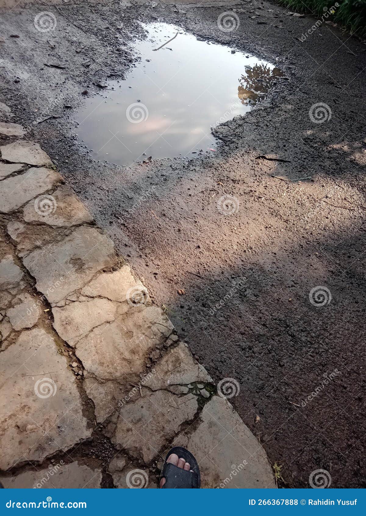 Puddles on Potholes Asphalt Road Stock Photo Image of asphalt, road