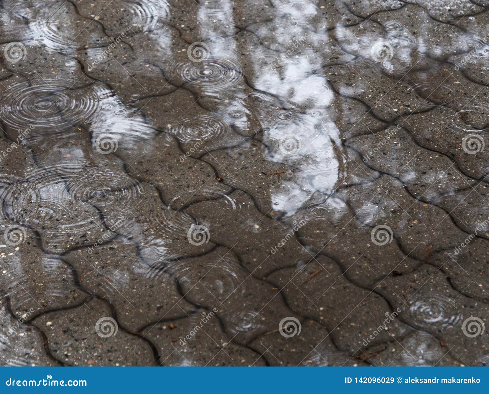 Puddles on the Tile Path. Drizzle Light Rain Stock Image Image of