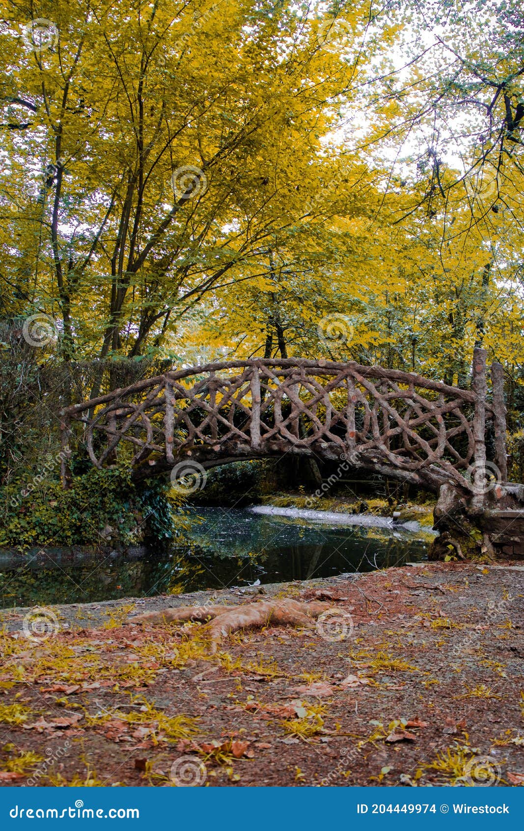 puente de madera entre la naturaleza